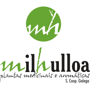 Logotipo mIl hulloa