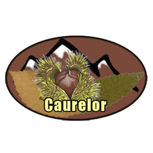 Imaxe Logo Caurelor